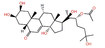 20-Hydroxyecdysone 22-acetate
